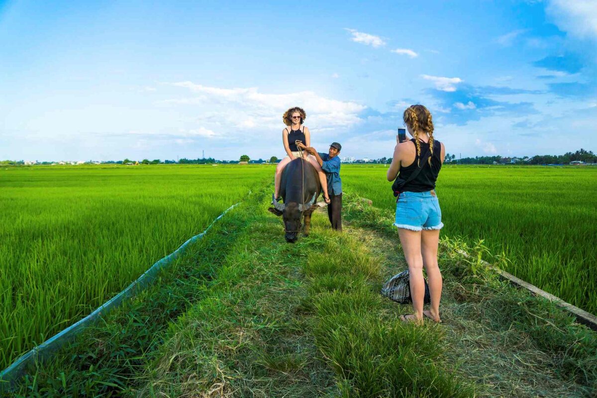 IICA Agrobiotursimo concurso América Latina