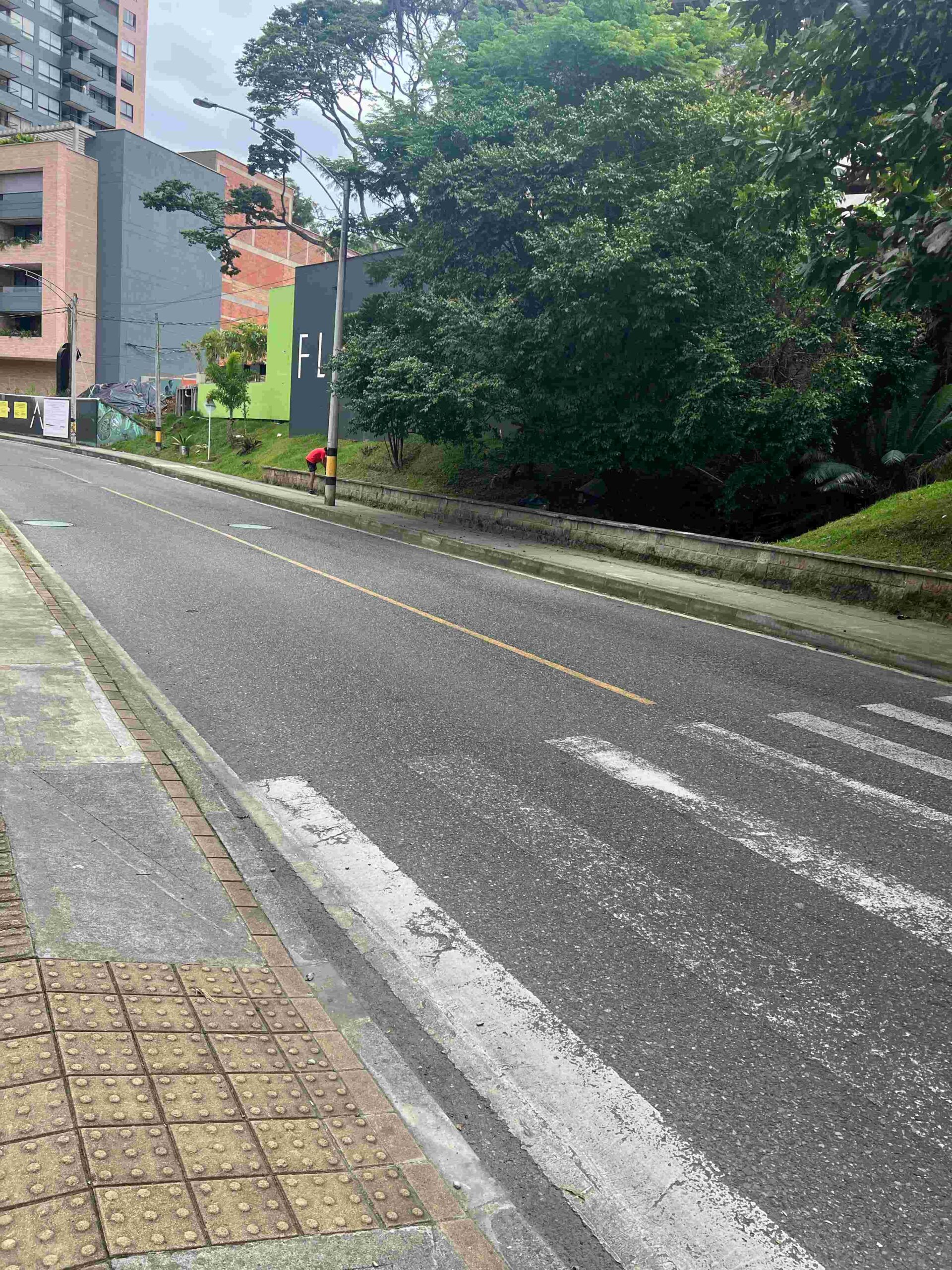 Seguridad vial señales horizontales cebras peatonales
