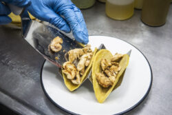 Manila Taqueria receta 2 temporada de tacos - (2)