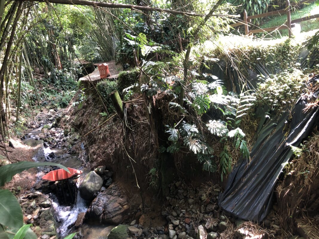 quebradas zonas verdes mantenimiento