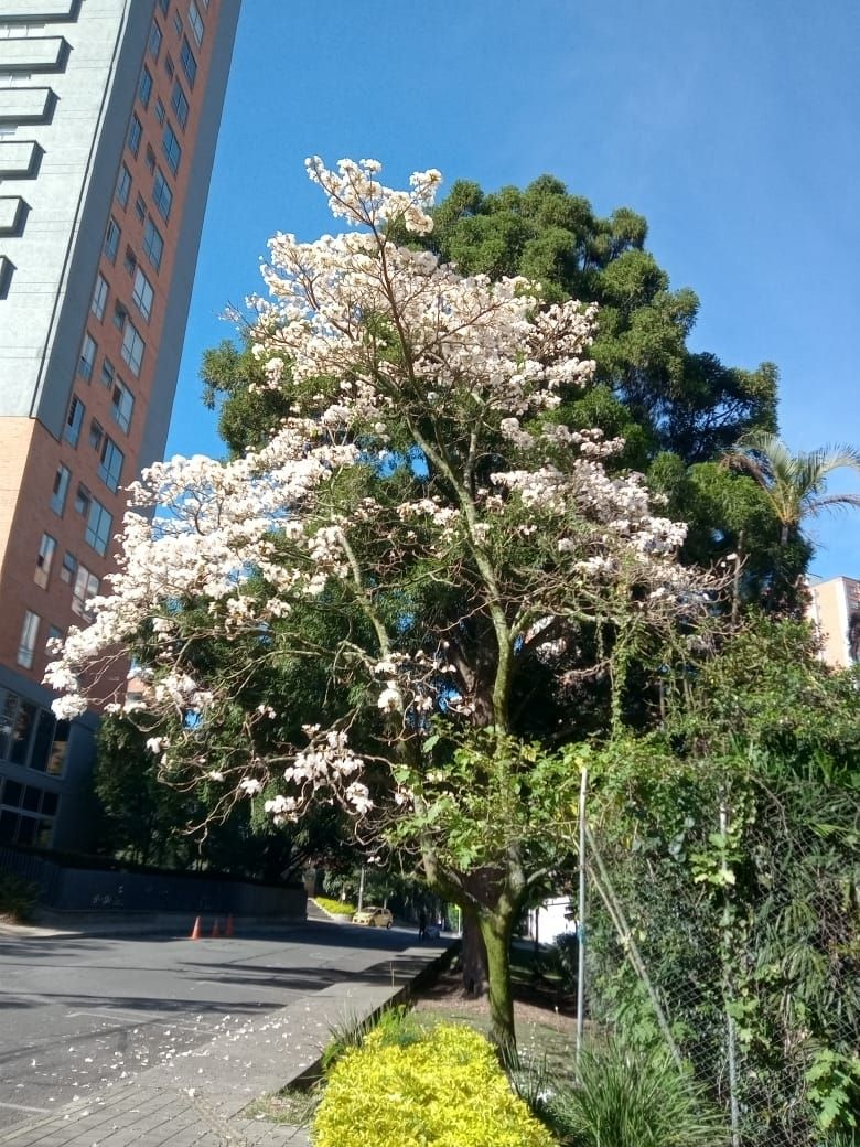 naturaleza patrimonio parque Inflexión Santa María de los Ángeles