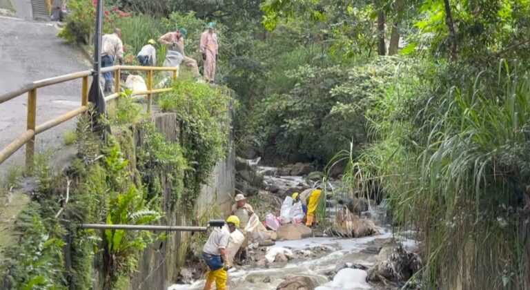 Más de 4 mil personas ayudaron a limpiar y embellecer seis quebradas en Medellín