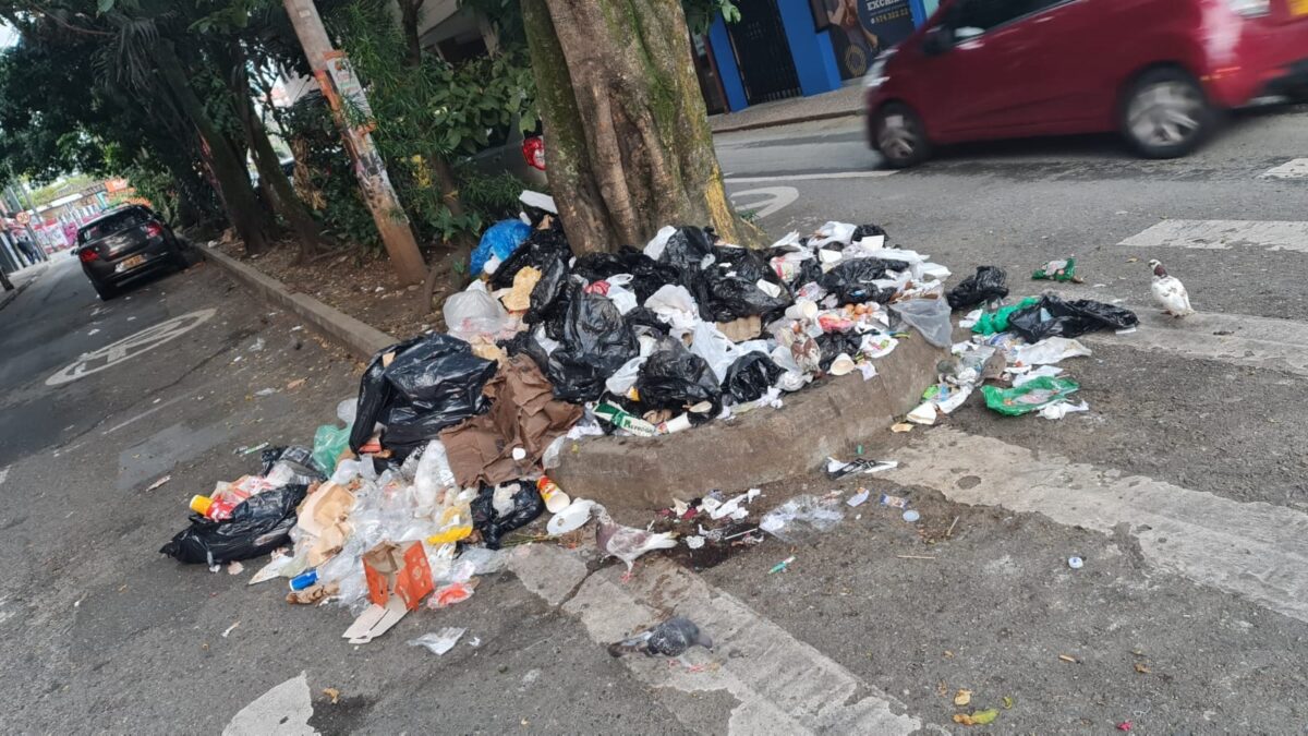 economía circular emvarias uva ilusión verde