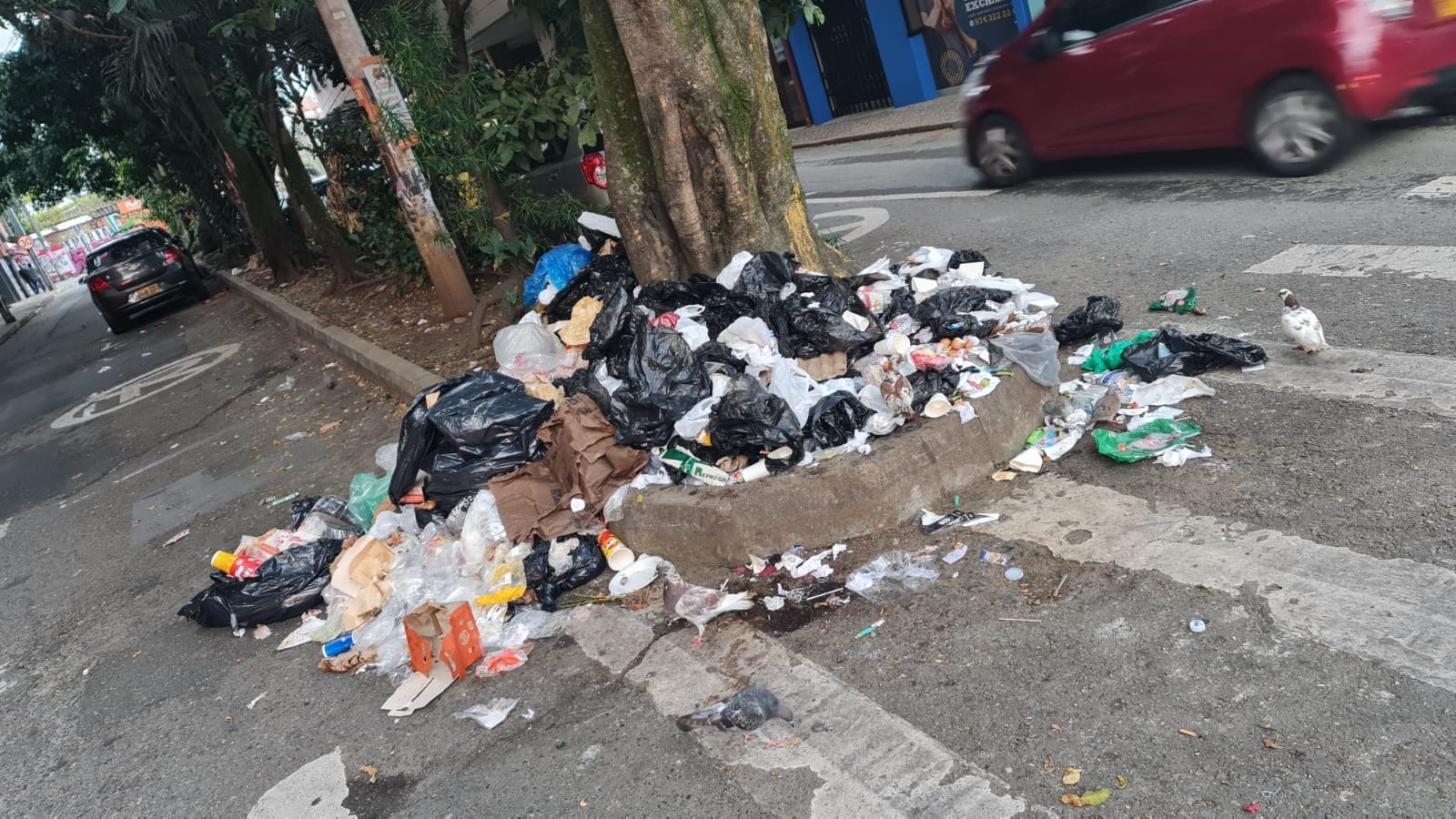 economía circular emvarias uva ilusión verde