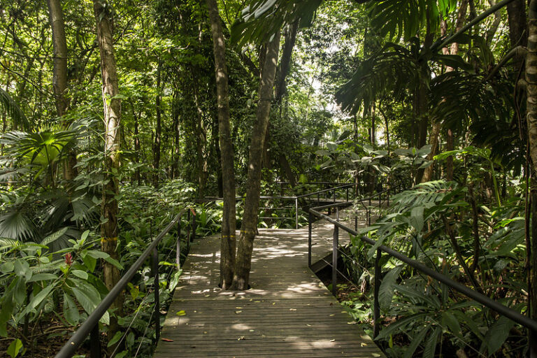 “Lo sagrado de las plantas”, un recorrido al que invita el Jardín Botánico