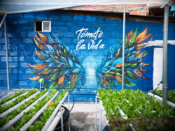 Una de las terrazas fue intervenida con un gran mural hecho por la artista conocida como la Jefa y representa una alegoría a la libertad y la capacidad que tienen las personas de tomarse la vida.