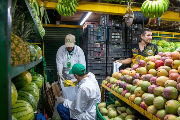 En Medellín se han recuperado 10 toneladas de frutas y verduras para las familias más vulnerables