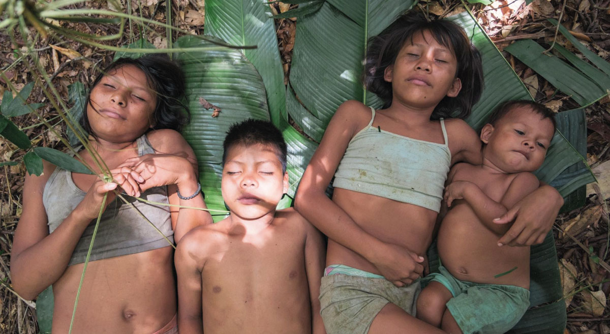 40 días perdidos en la selva, en cartelera