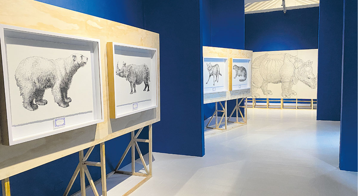 Edwin Monsalve, en la galería La Balsa