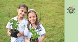 Colegio Hontanares (2)