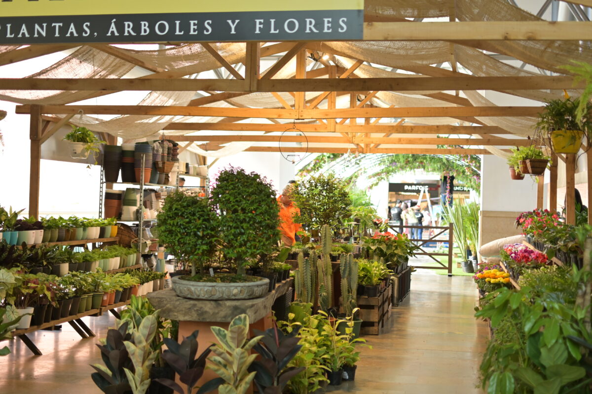 El Tesoro celebra la Feria de las Flores con naturaleza, música y gastronomía