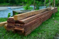Informe de los bosques en el mundo 2024 - 4