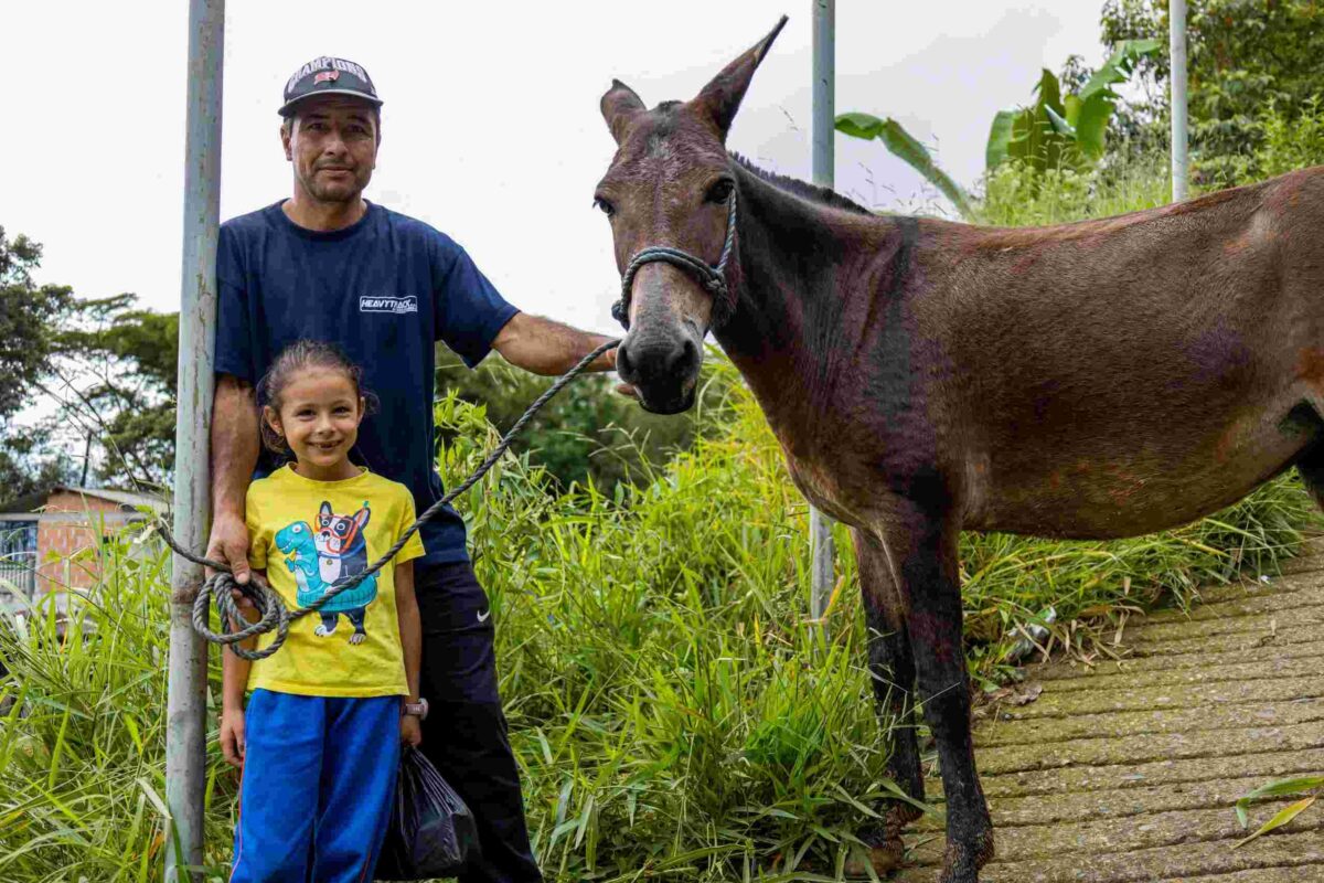 familia campesina el carmen de viboral mulas