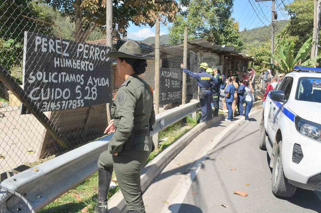 perros albergues el retiro
