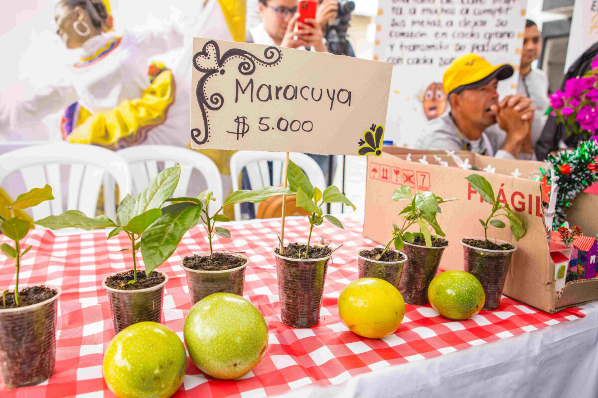 PAS programa del Gobierno en municipios con riesgo de hambre