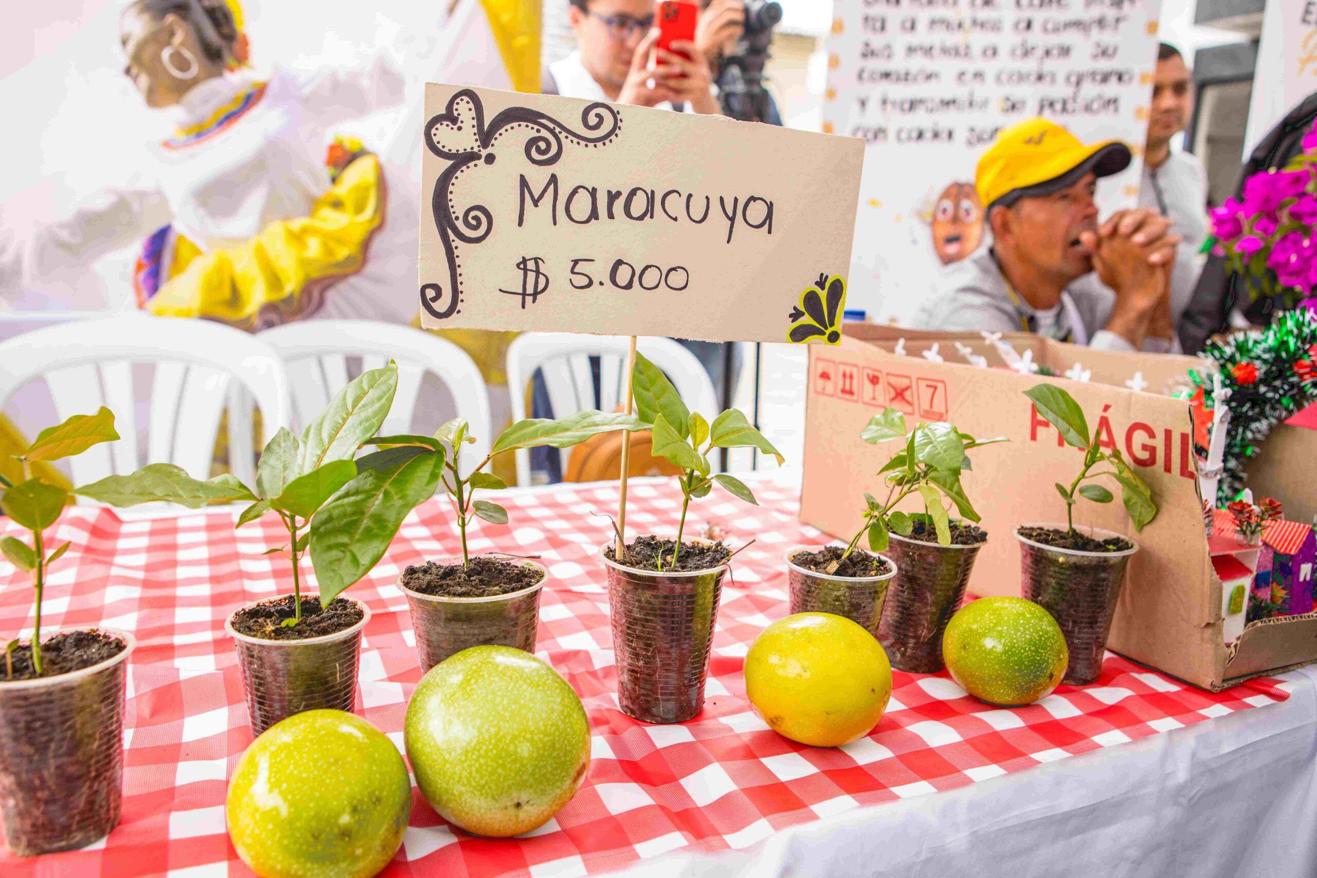 PAS programa del Gobierno en municipios con riesgo de hambre