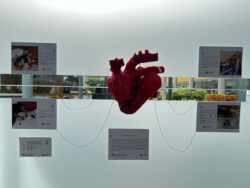 22 exposiciones pedagogicas sobre lactancia humana hace Comfenalco Antioquia 8
