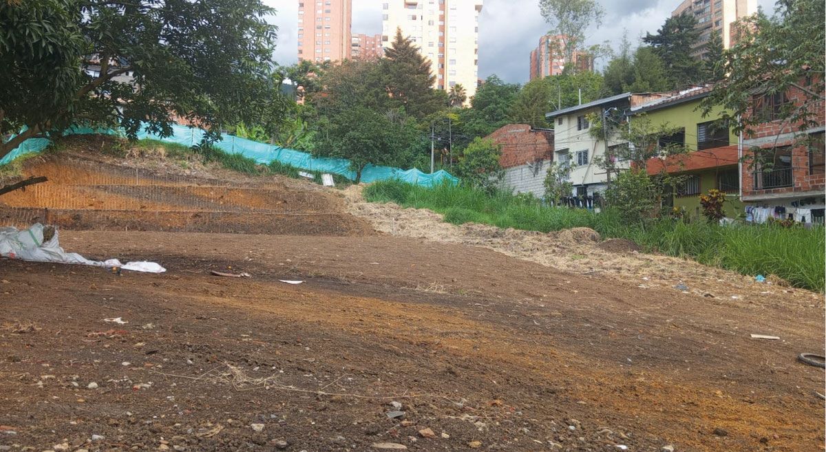 Lote abandonado Garabato malezas