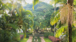 Club Campestre de Medellín 100 años, y contando (4)