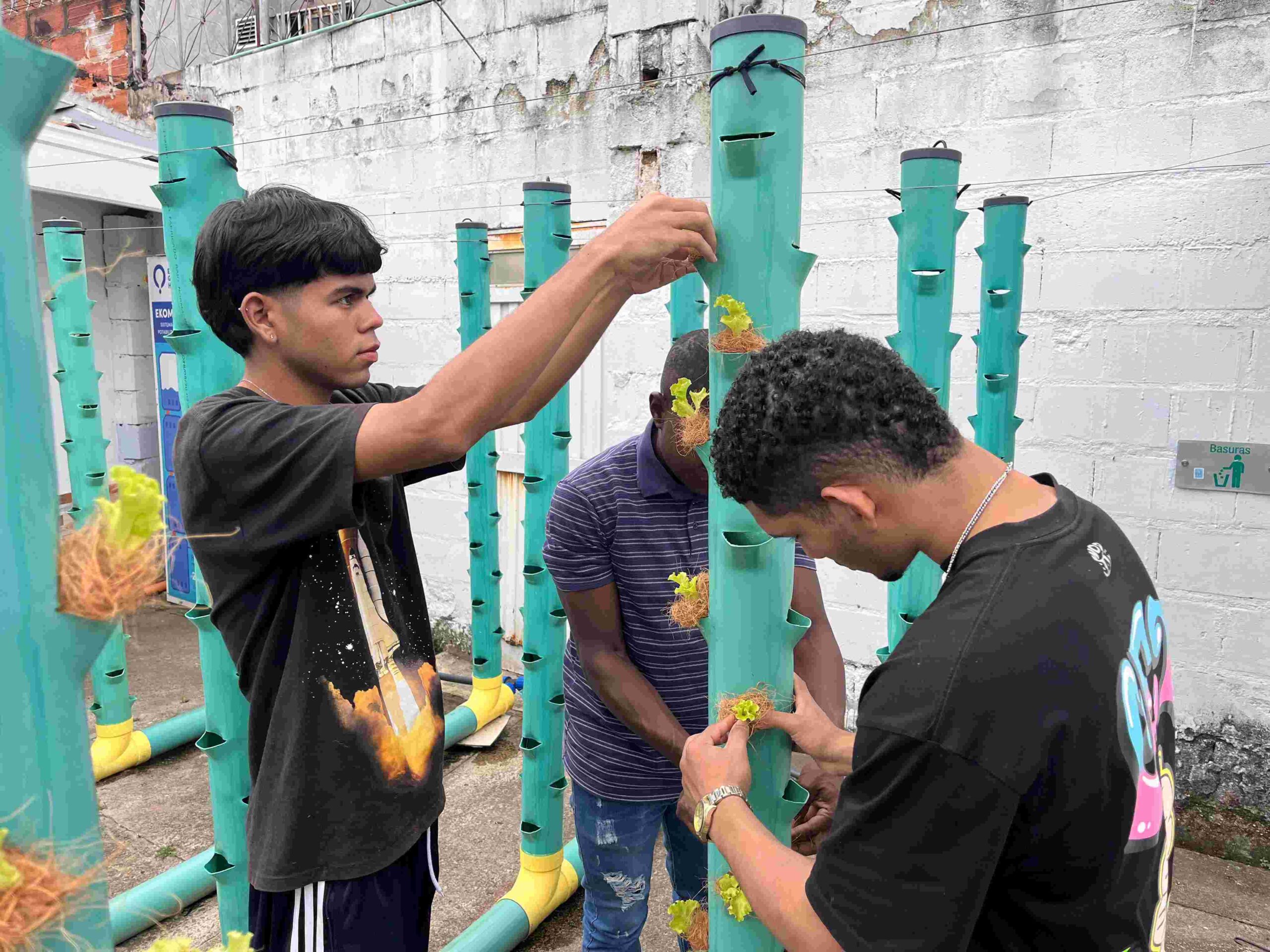 colegio privado colegio público huerta hidropónica
