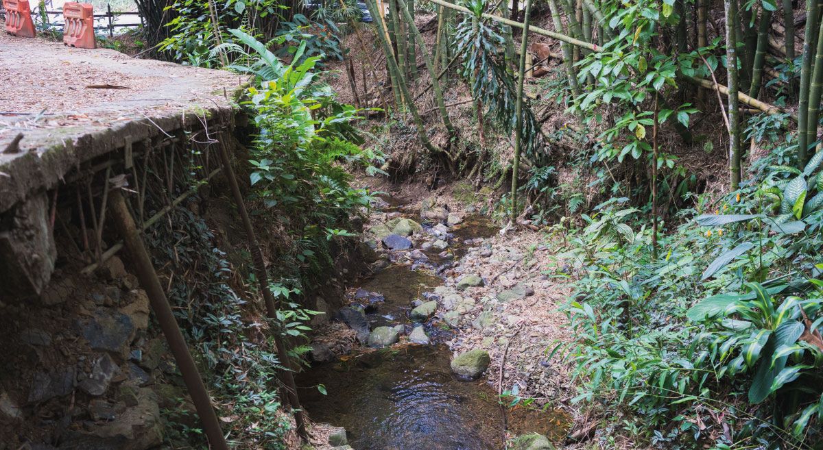 La Paulita quebrada San Lucas acción popular