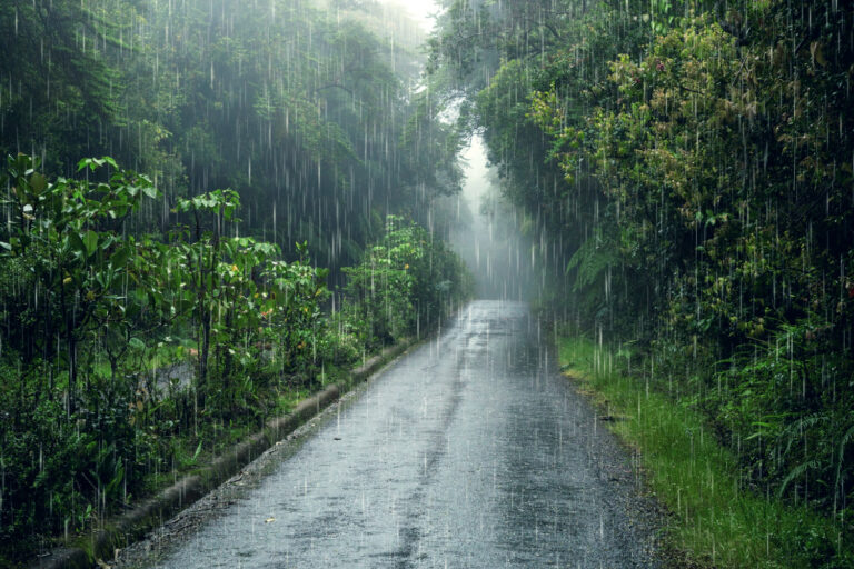 ¿Cómo prepararse para la temporada de lluvias en Oriente?
