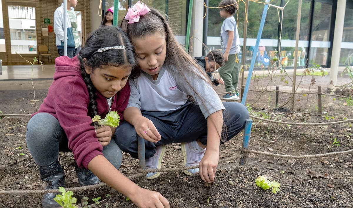Cosmo Schools, educación de calidad en el Oriente  (2)