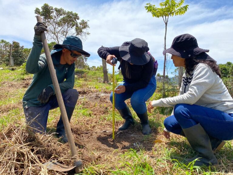 Antioquia protege sus cuencas hídricas, sembrando 67 mil árboles