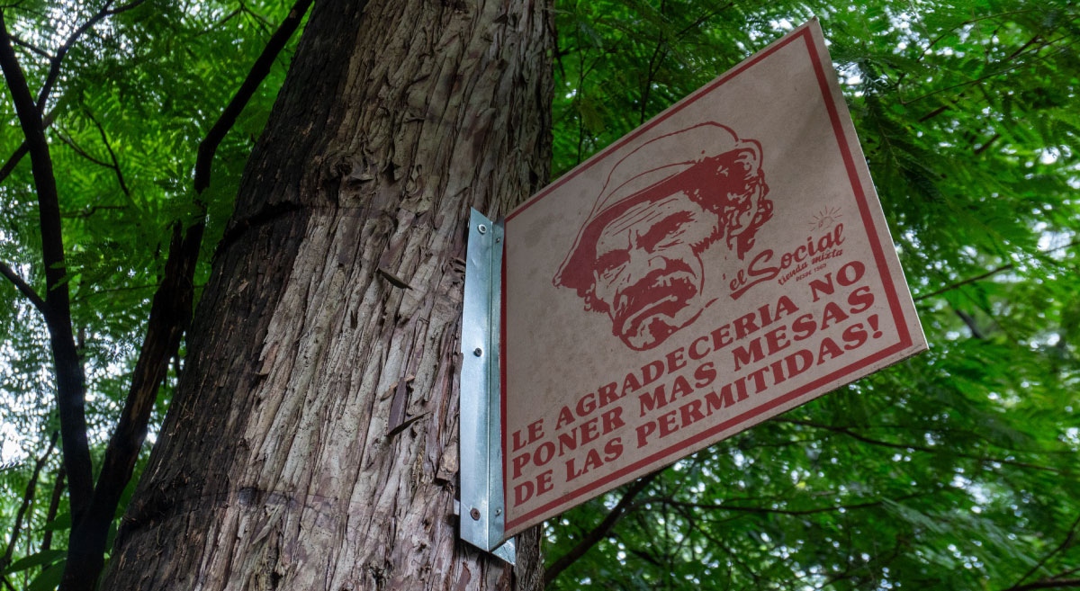 árboles Provenza maltratados