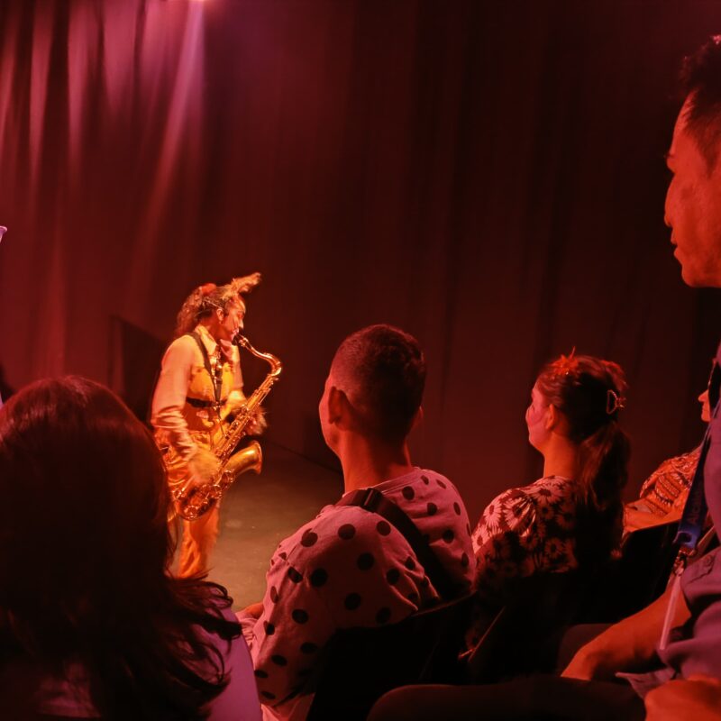 Varieté de clausura del Festival Infantil de Artes Escénicas de la Comuna 10