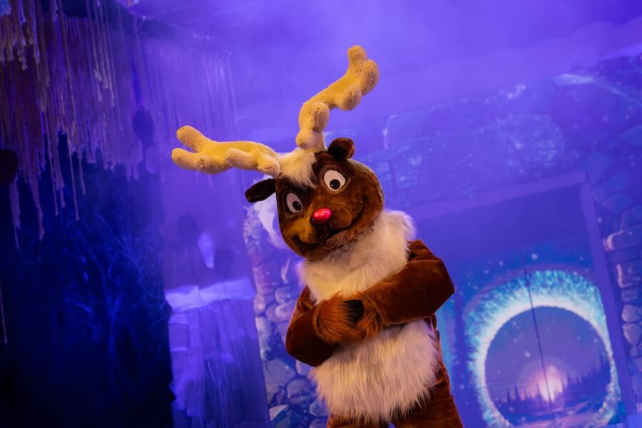 Foto Rudolf Rudolf y el secreto del dragón - Vivir en El Poblado