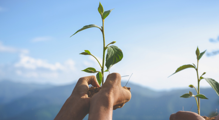 ¿Cuál es el futuro de la sostenibilidad empresarial?
