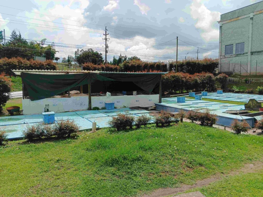 PTAR ARSA Sajonia Playa Rica Ranchería Rionegro