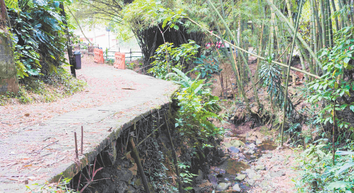 quebrada La Paulita San Lucas erosión contaminación