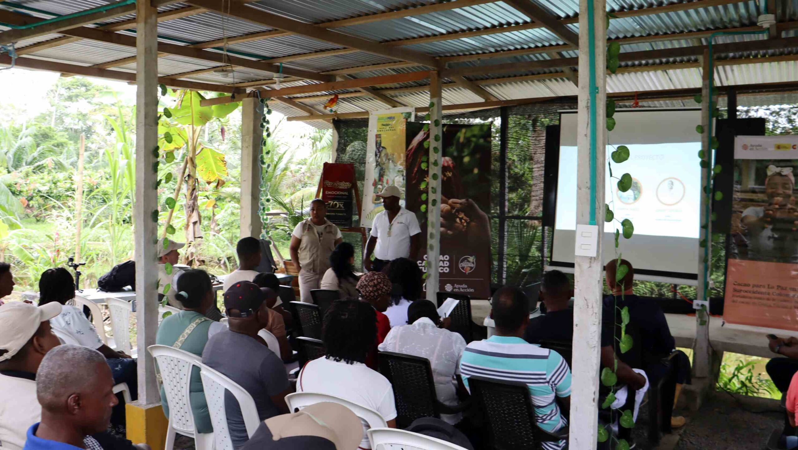 Cacao orgánico Tumaco Pacífico Casa Luker