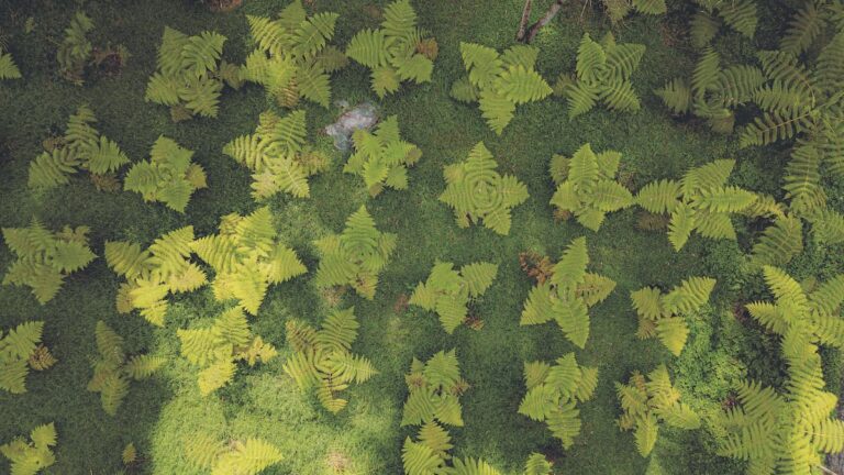 Concesión Túnel Aburrá Oriente, comprometida con la naturaleza de la región