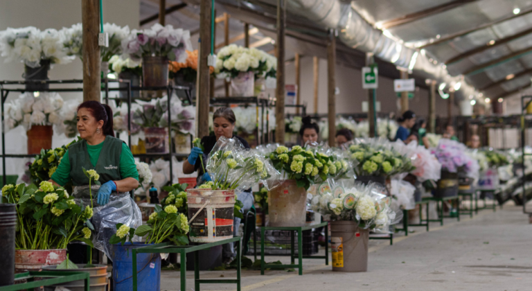 Empresarios del Oriente de Antioquia: construyendo negocios exitosos en un mundo cambiante