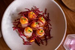 Rocoto Restaurante de cocina Peruana (2)