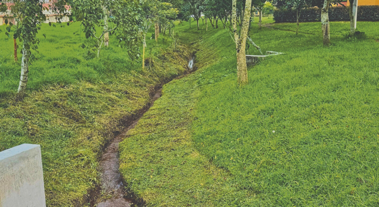 Una invitación en tiempos de invierno: cuidar la naturaleza en La Ceja