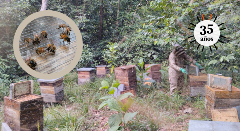 Ámbar Apícola: emprendimiento que invita a salvar el mundo empezando por las abejas