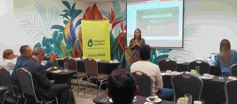“Aguacate Hass colombiano sigue siendo competitivo en EEUU”