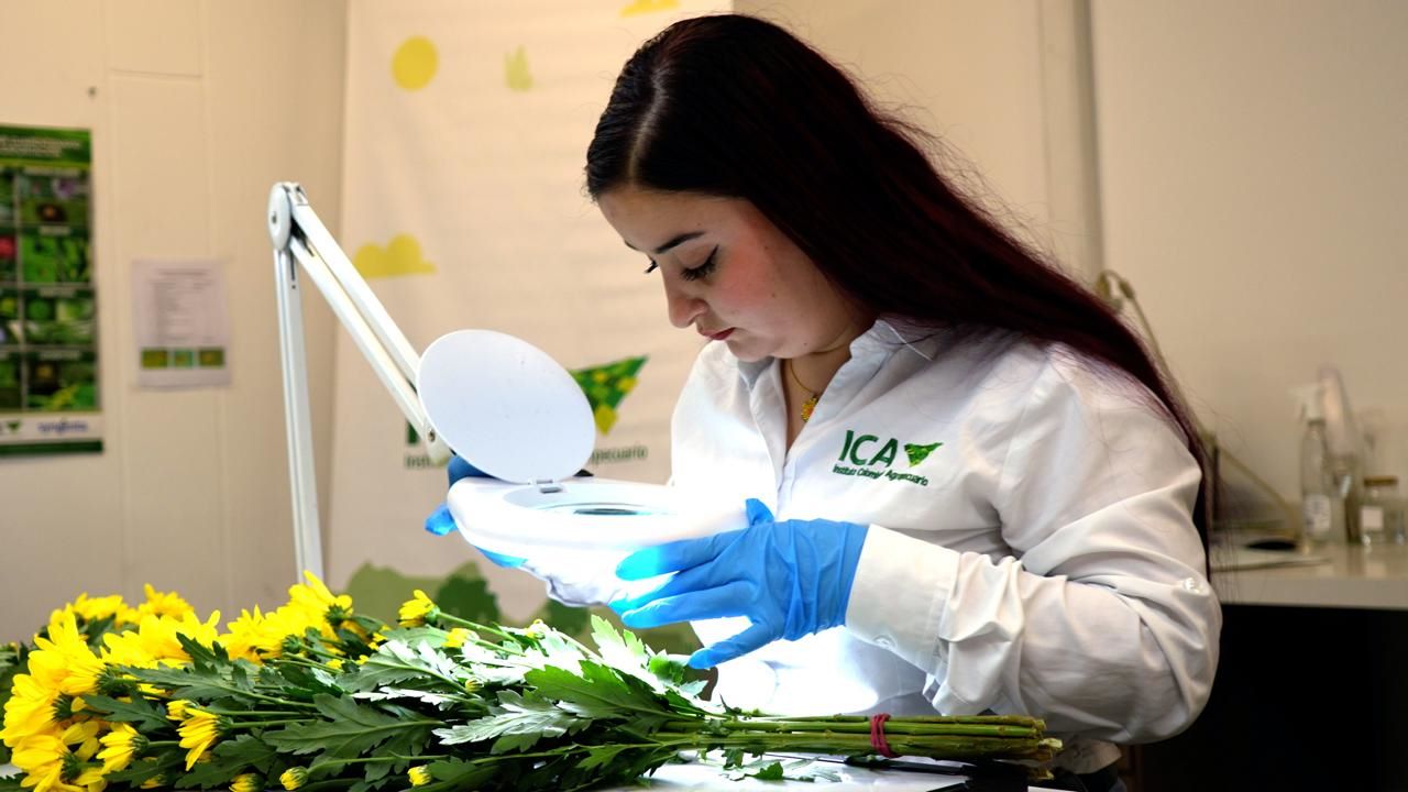 Instituto Colombiano Agropecuario ICA Asocolflores