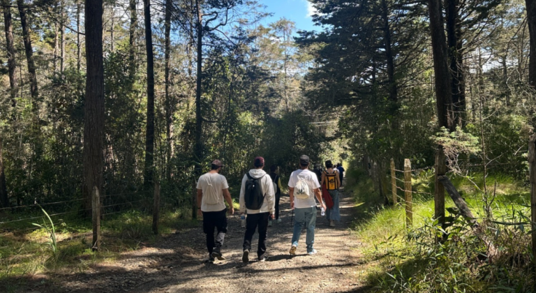 El Parque Arví tiene novedades, ¿cuáles?