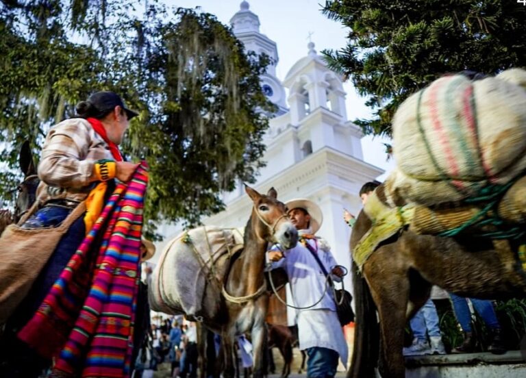 Salamina, Caldas, celebra 200 años a “lomo de mula”