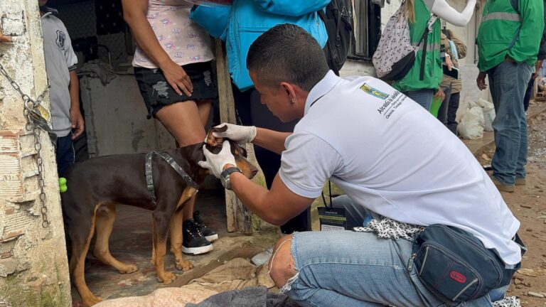 Acciones de atención y rescate animal en Altavista en medio de la emergencia