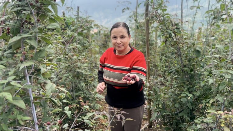 Buscan emprendimientos agropecuarios liderados por jóvenes y mujeres
