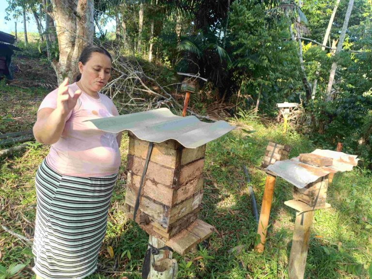 Promueven producción artesanal de miel en Oriente antioqueño