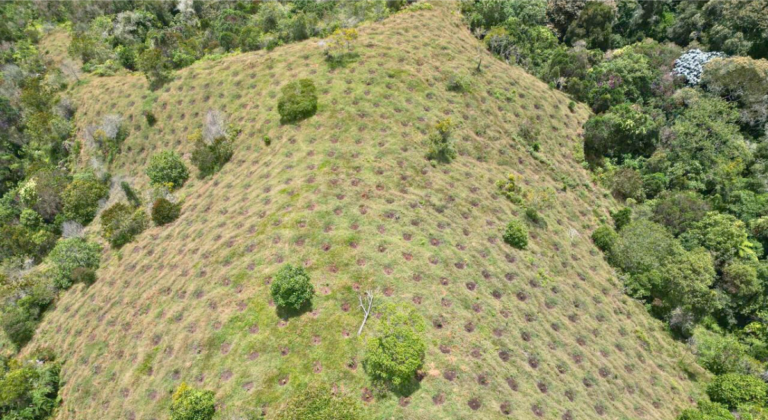 Invitación para los municipios a postular predios para reforestación y protección de fuentes hídricas