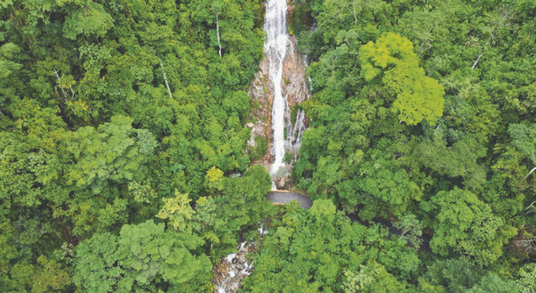 El Dormilón y su riqueza biodiversa