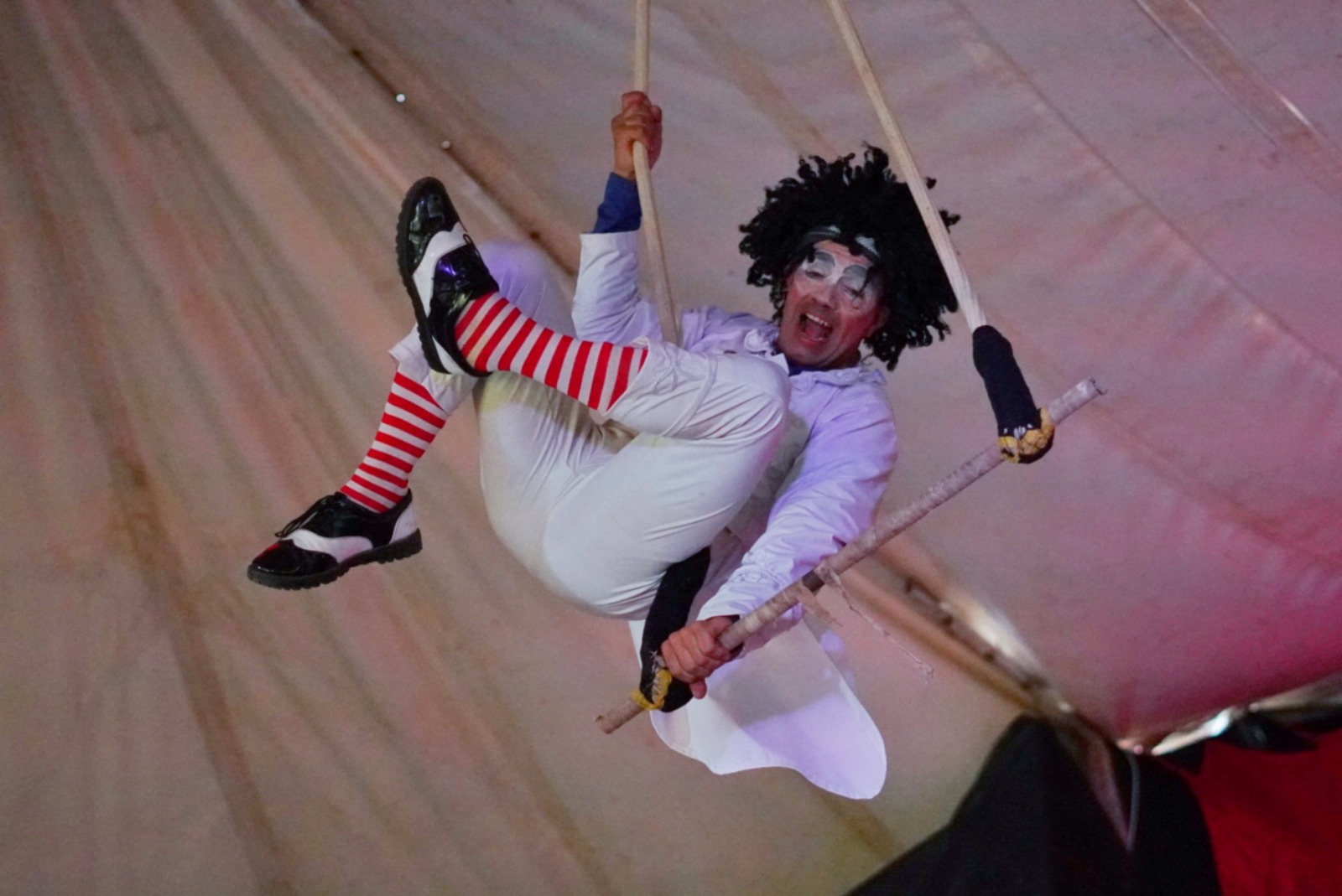 Invitan a las 70 presentaciones del festival de circos, con entrada gratuita